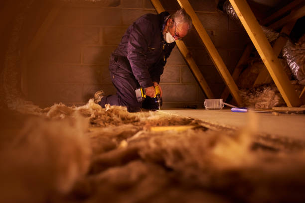 Best Attic Insulation Installation  in Plattsburgh, NY